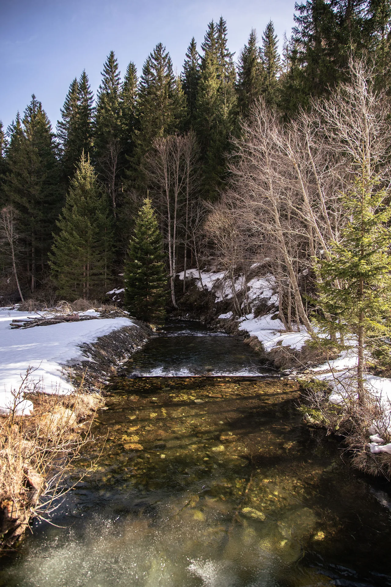 Der kleine Bach lädt zum Verweilen, Abschalten und zum Spielen für Kinder ein.