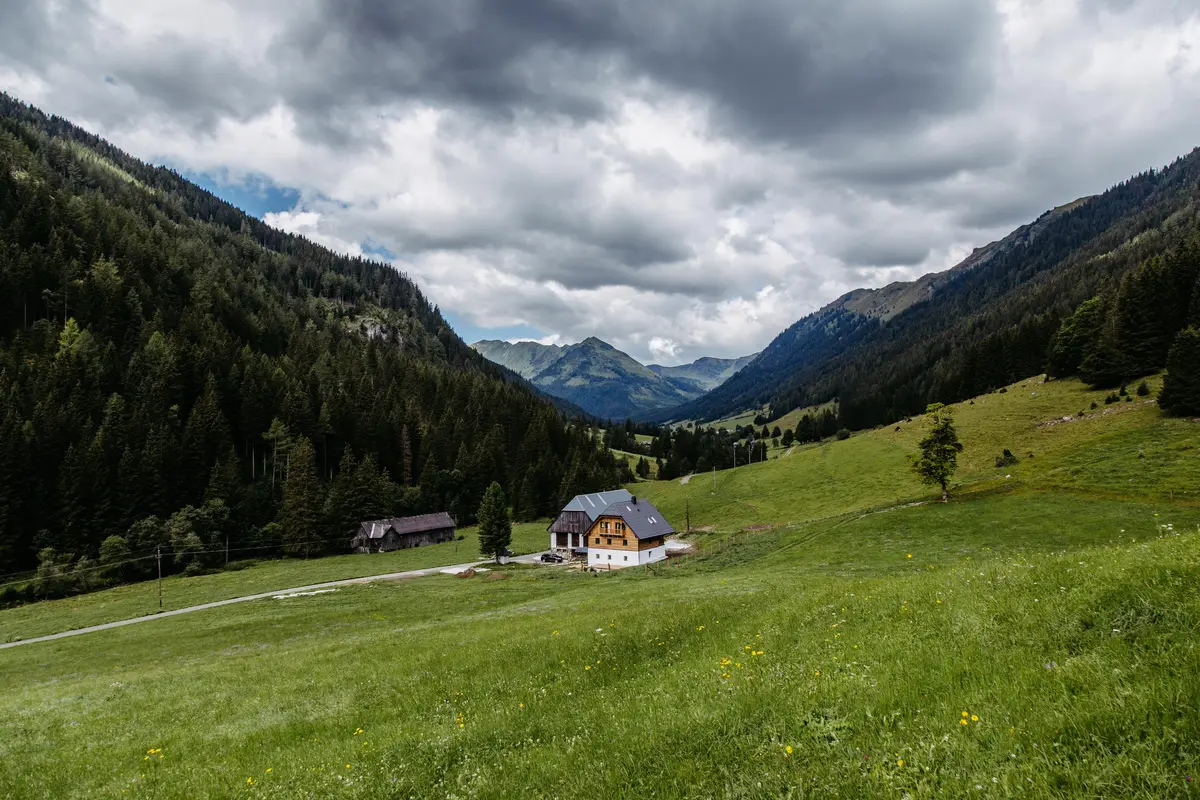 Detox Almhaus Sommer 2026