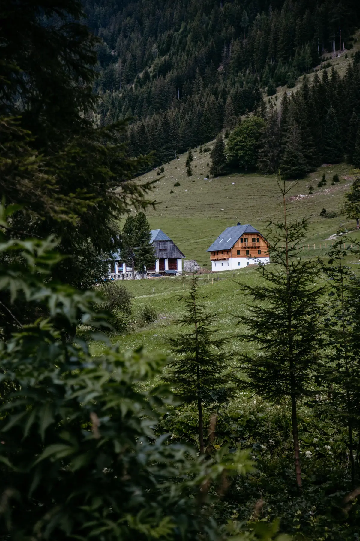 Detox Almhaus Sommer 2026