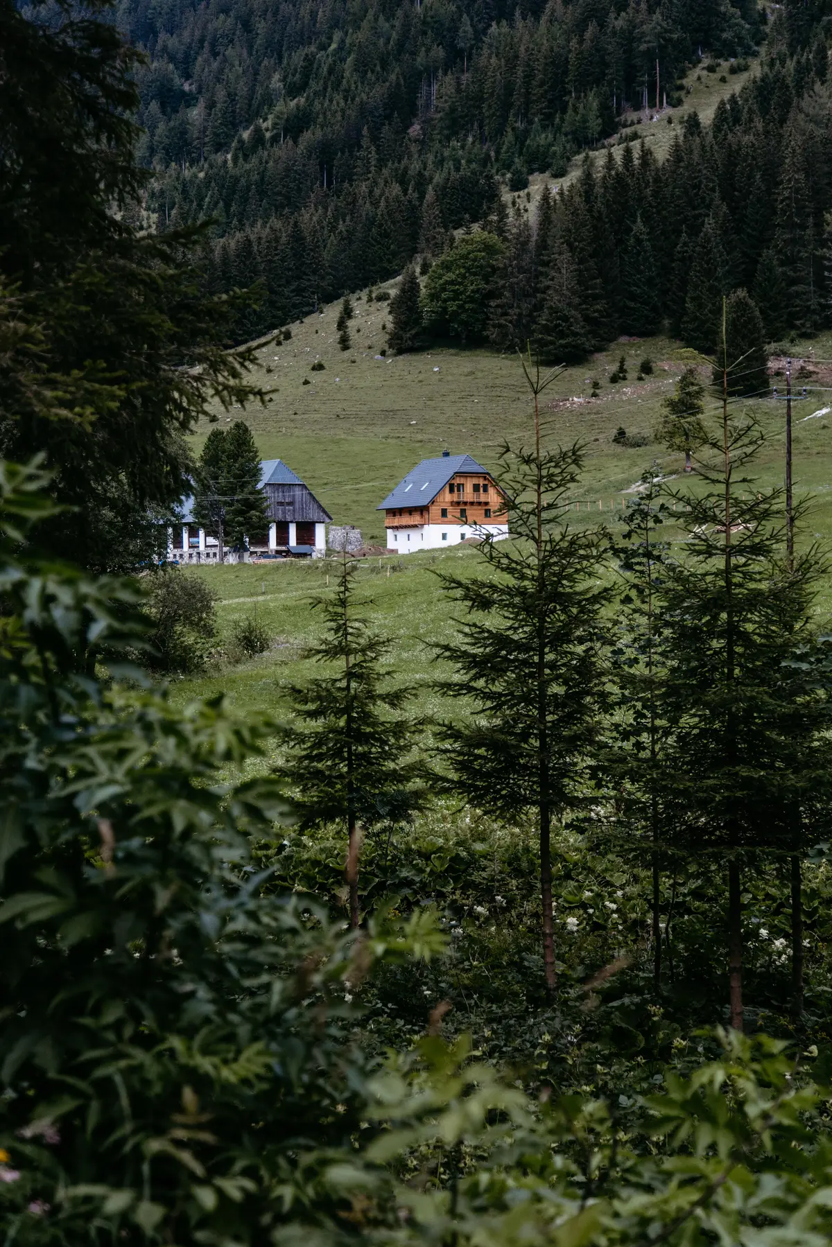 Detox Almhaus Sommer 2026