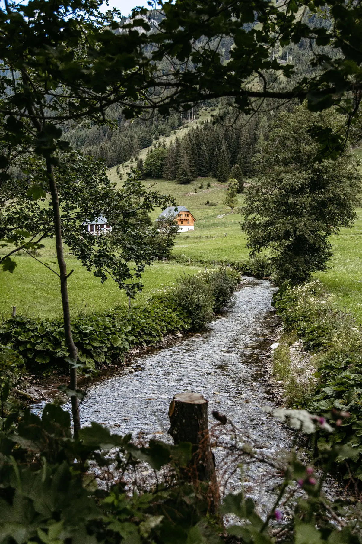 Detox Almhaus Sommer 2026