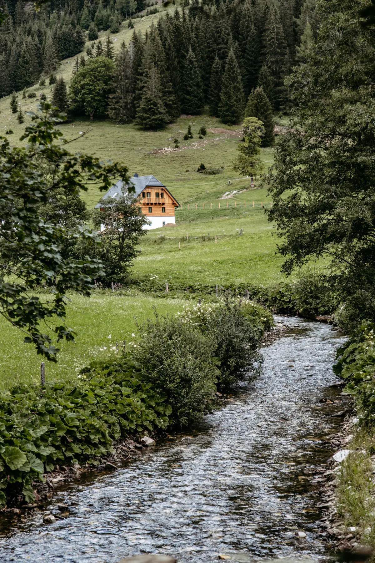 Detox Almhaus Sommer 2026