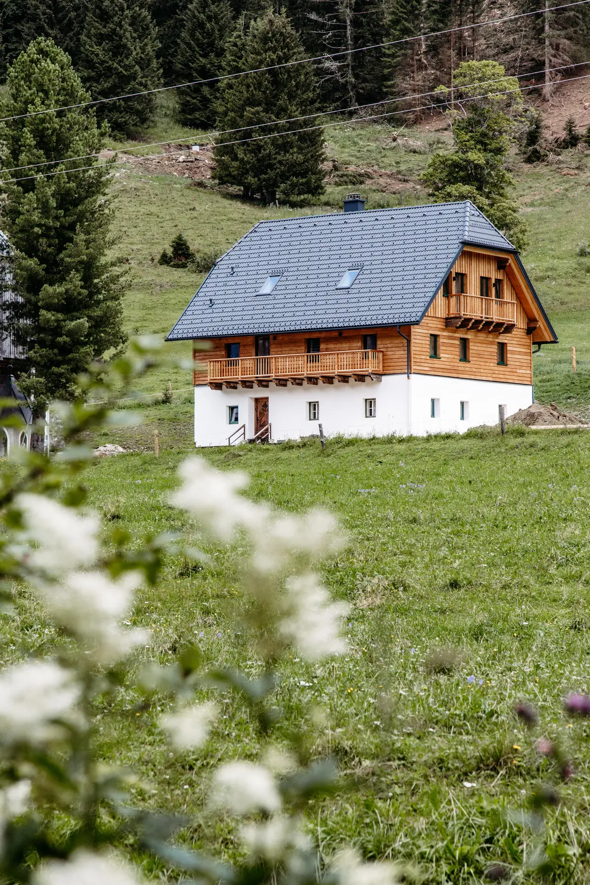 Detox Almhaus Sommer 2026