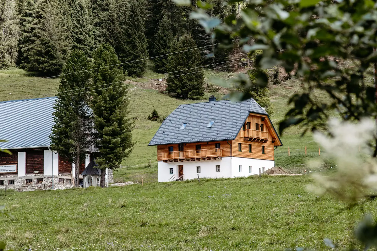 Detox Almhaus Sommer 2026