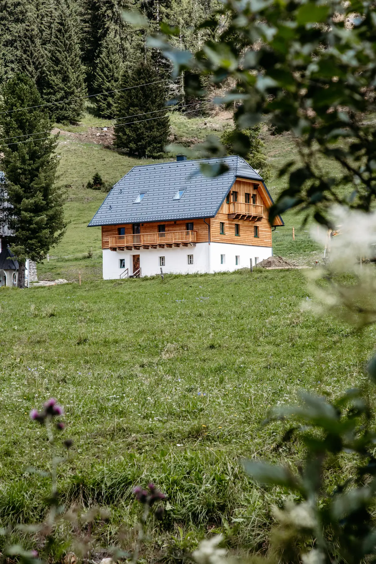 Detox Almhaus Sommer 2026