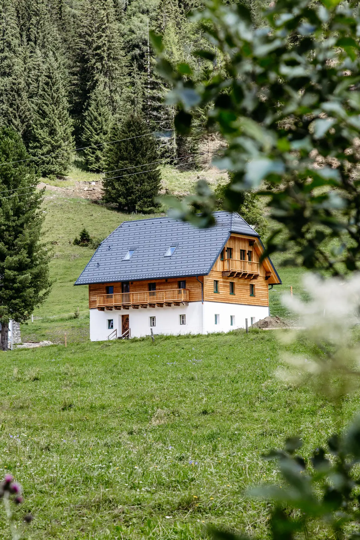 Detox Almhaus Sommer 2026