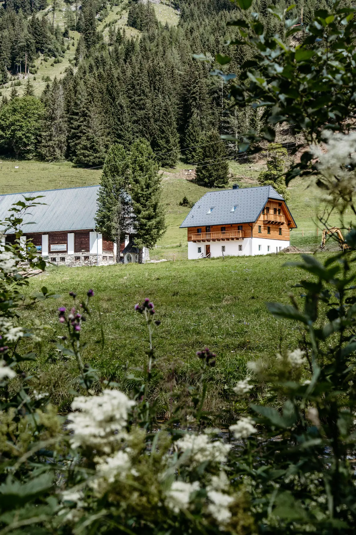 Detox Almhaus Sommer 2026