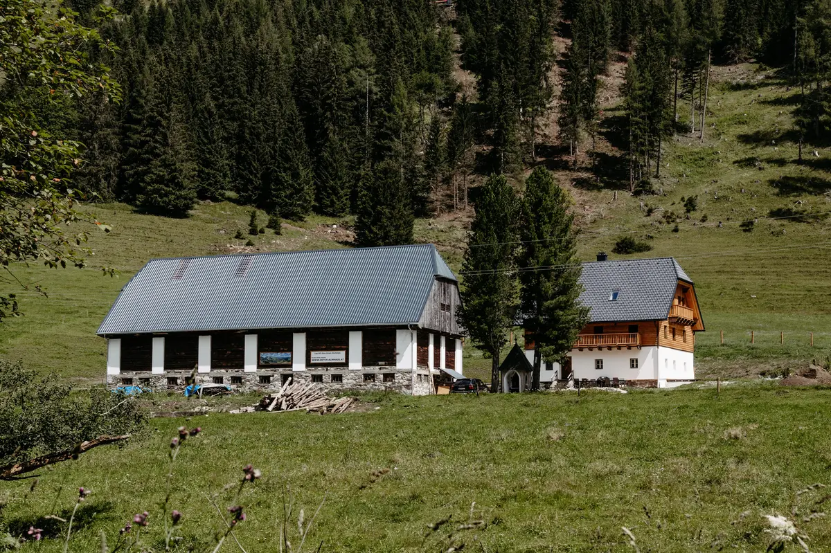 Detox Almhaus Sommer 2026
