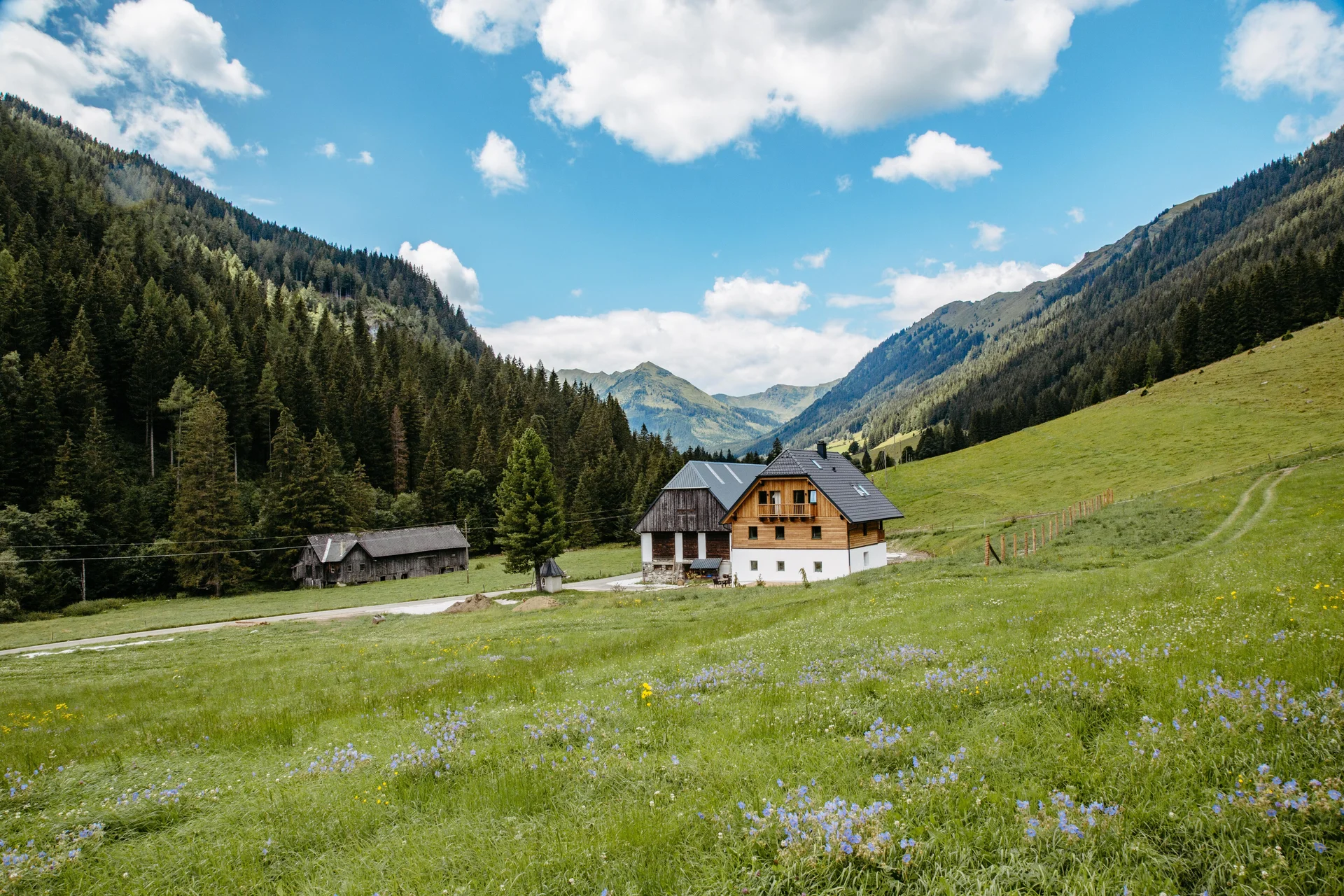 Detox Almhaus Sommer 2026