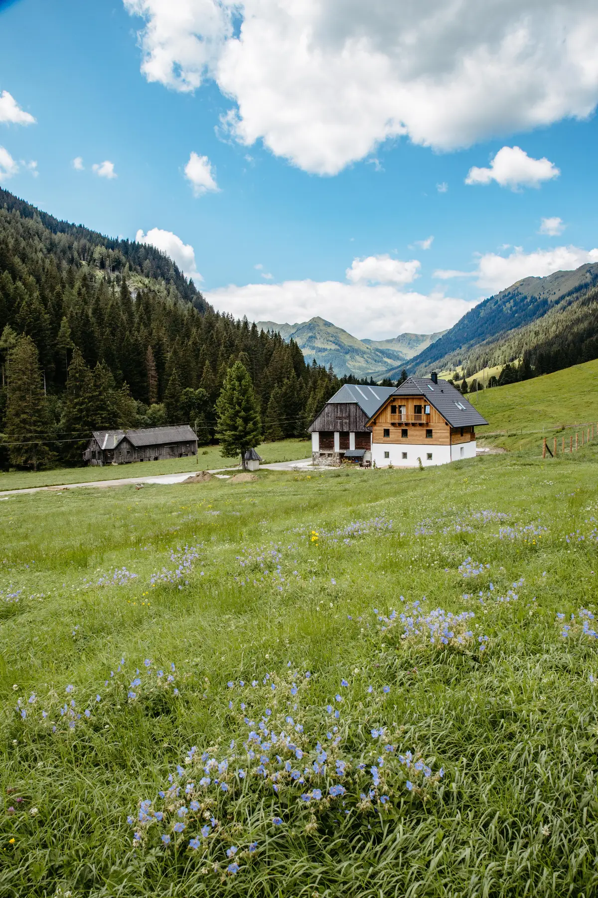 Detox Almhaus Sommer 2026