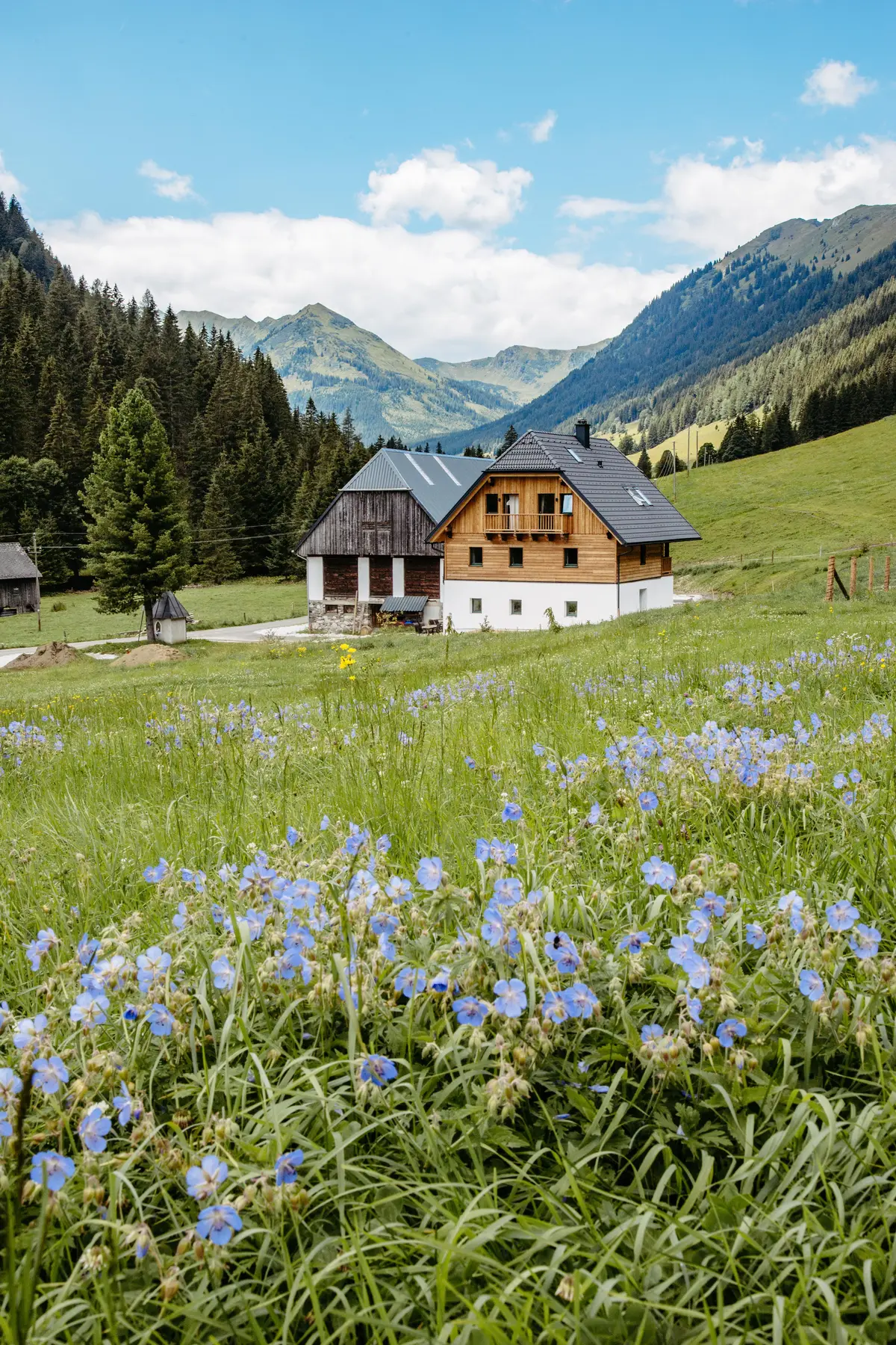Detox Almhaus Sommer 2026