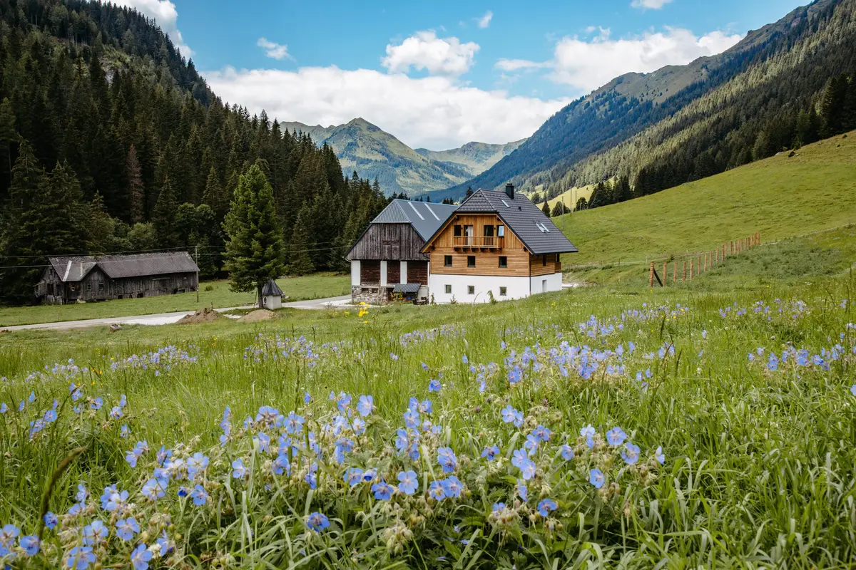 Detox Almhaus Sommer 2026