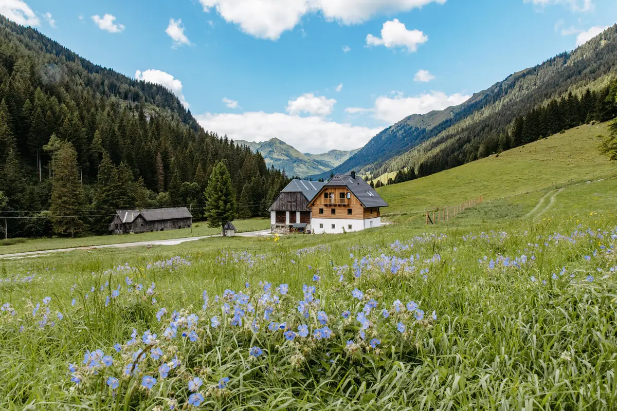 Detox Almhaus Sommer 2026