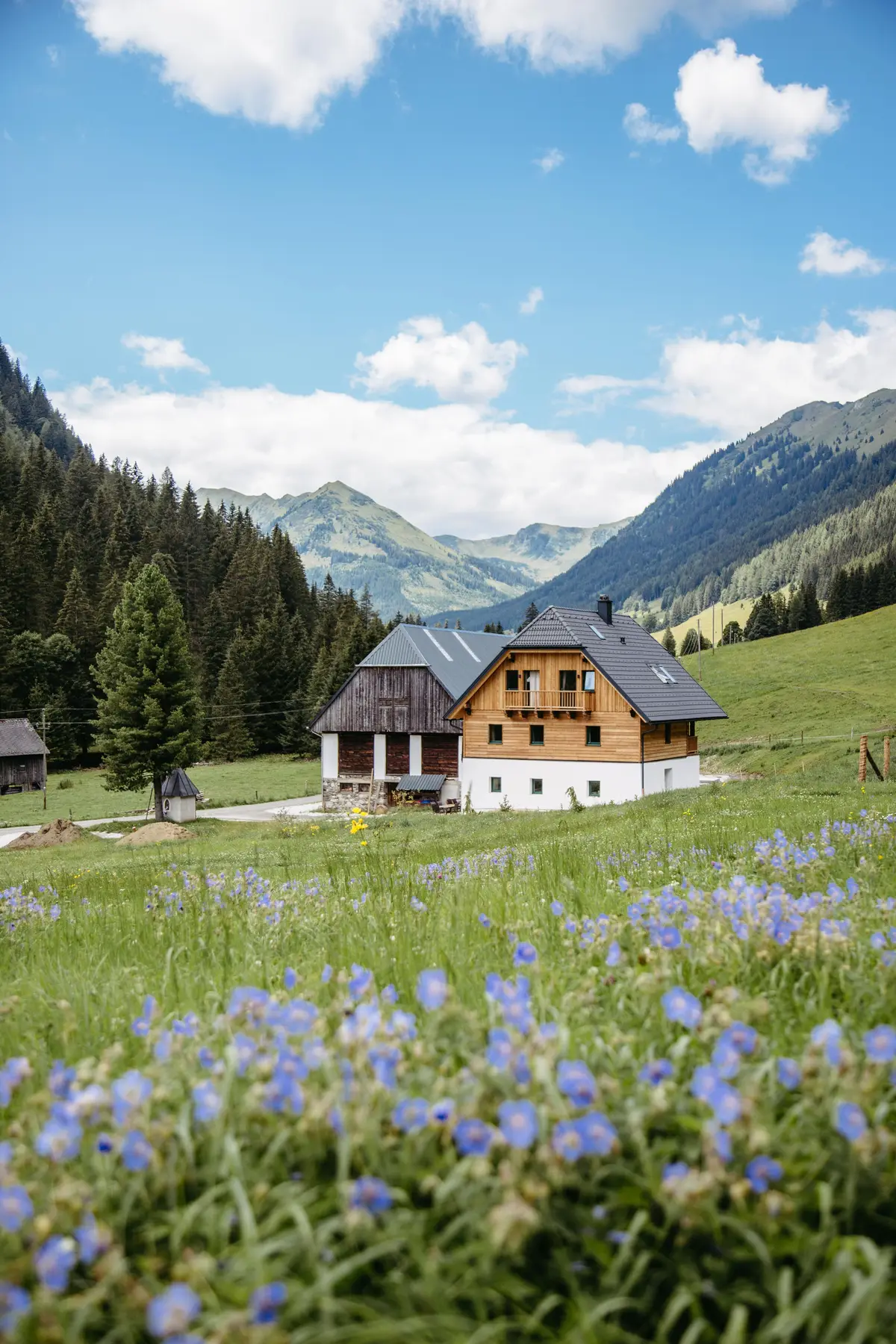 Detox Almhaus Sommer 2026