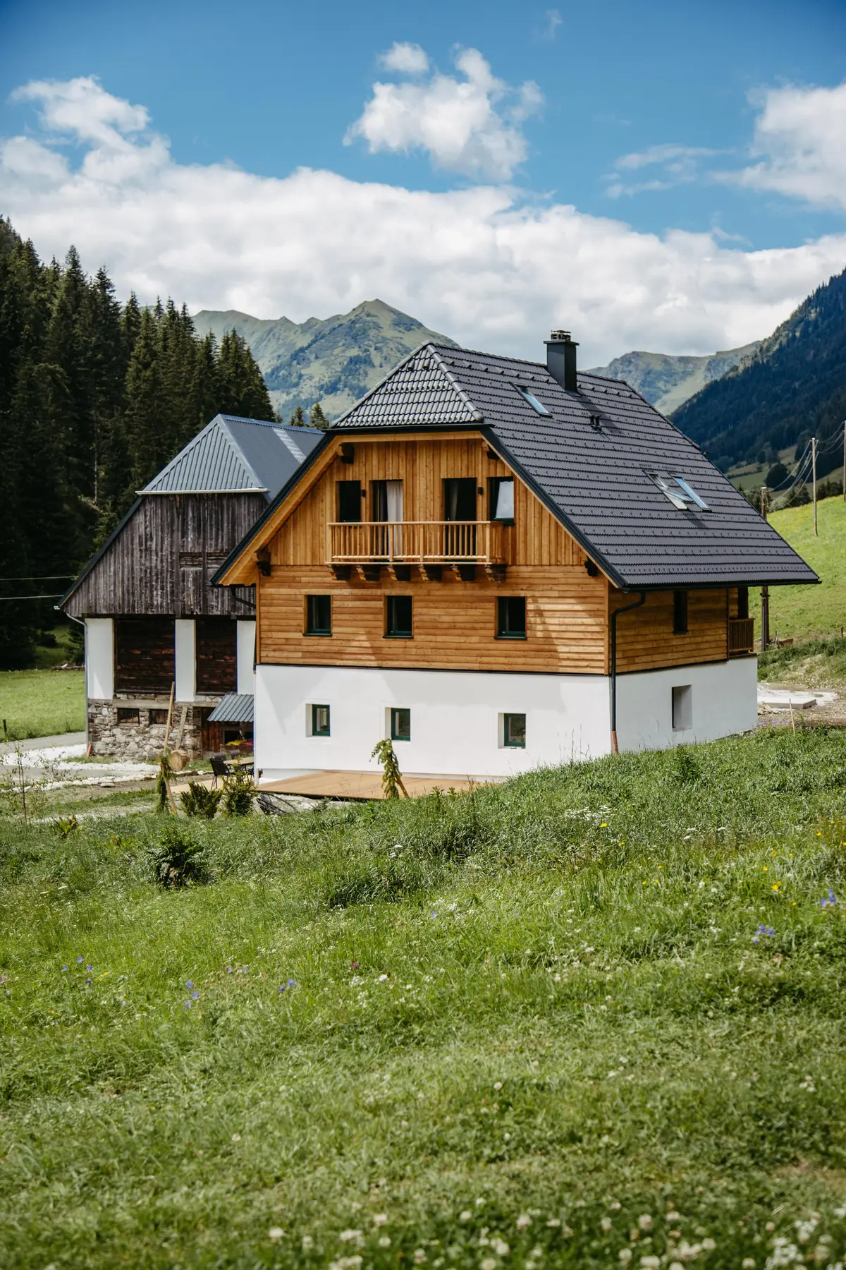 Detox Almhaus Sommer 2026