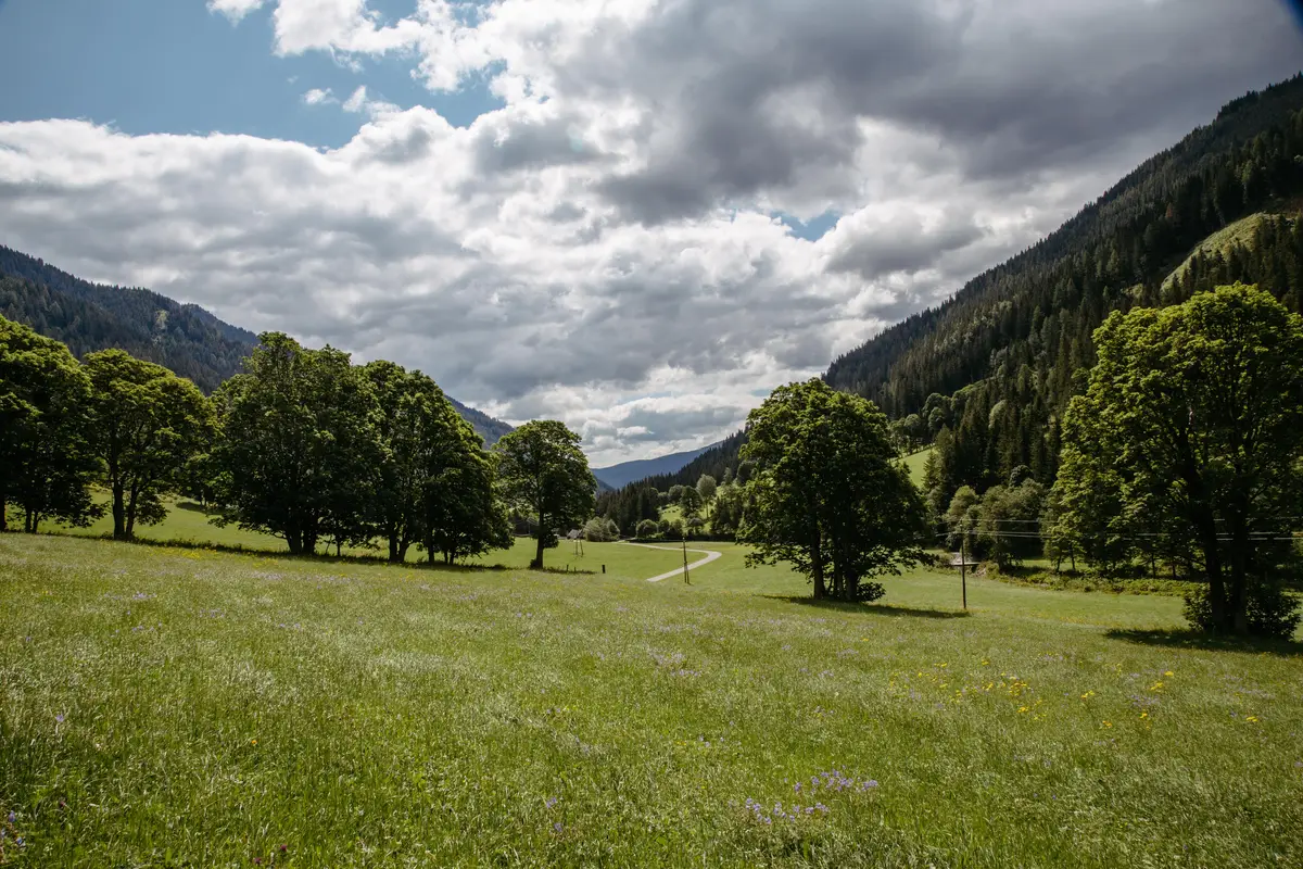 Detox Almhaus Sommer 2026